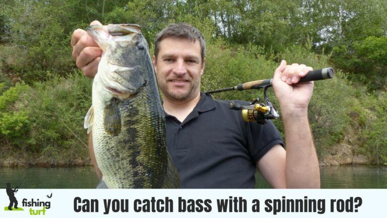 Can you catch bass with a spinning rod