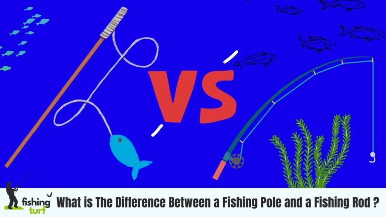 Difference Between a Fishing Pole and a Fishing Rod