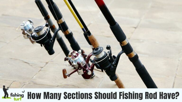 How Many Sections Should Fishing Rod Have