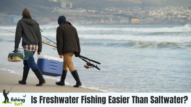 Is Freshwater Fishing Easier Than Saltwater