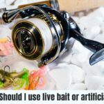 Should I use live bait or artificial bait