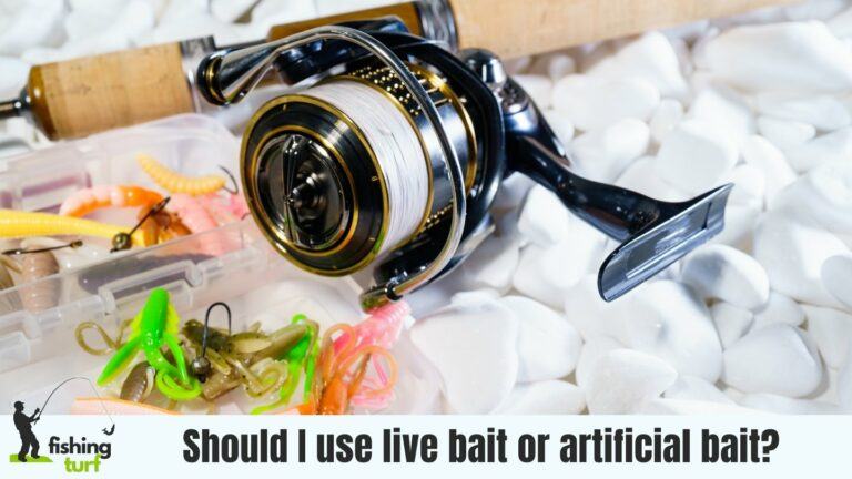 Should I use live bait or artificial bait