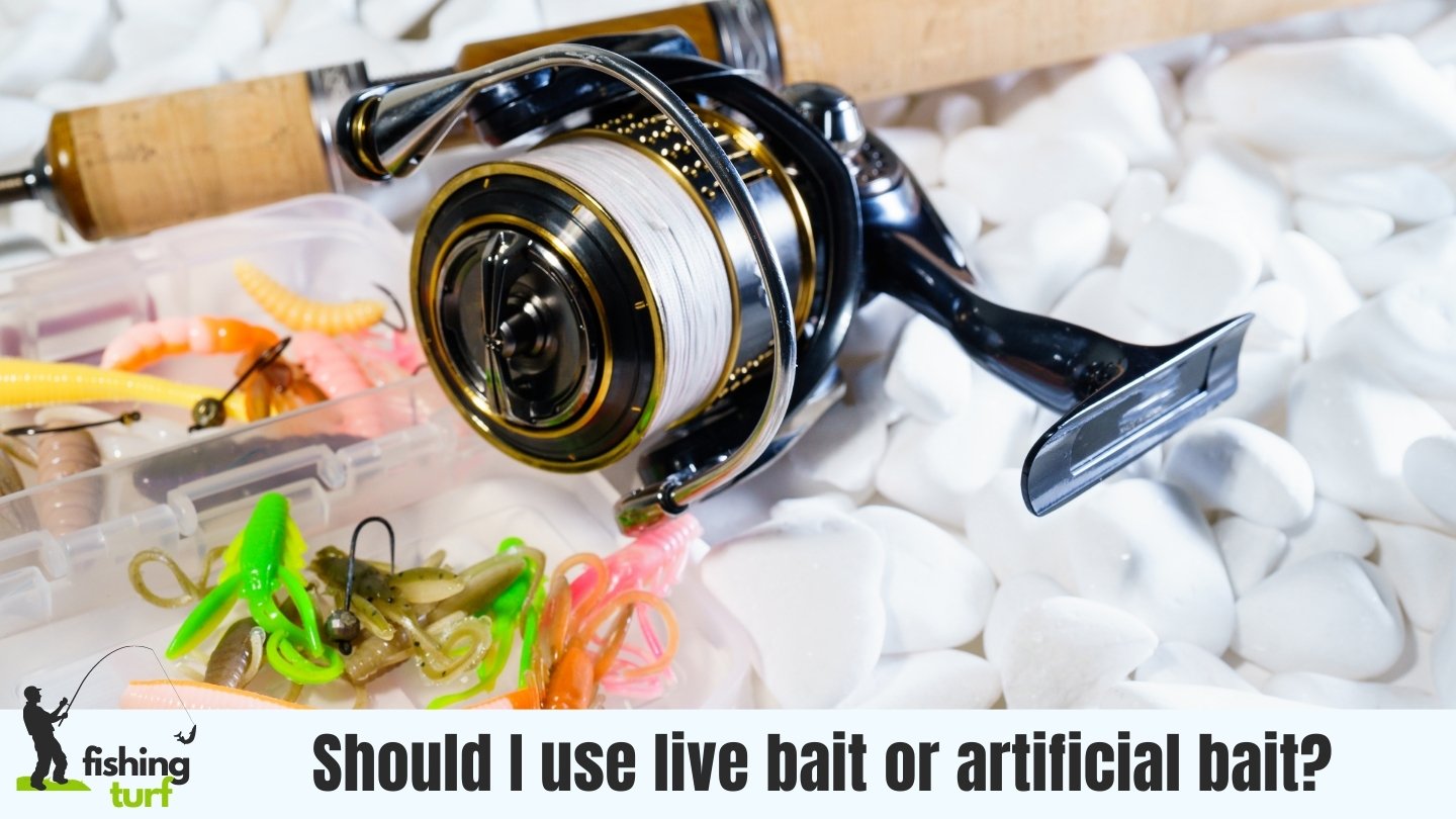 Live Bait vs Artificial Bait The Ultimate Fishing Debate