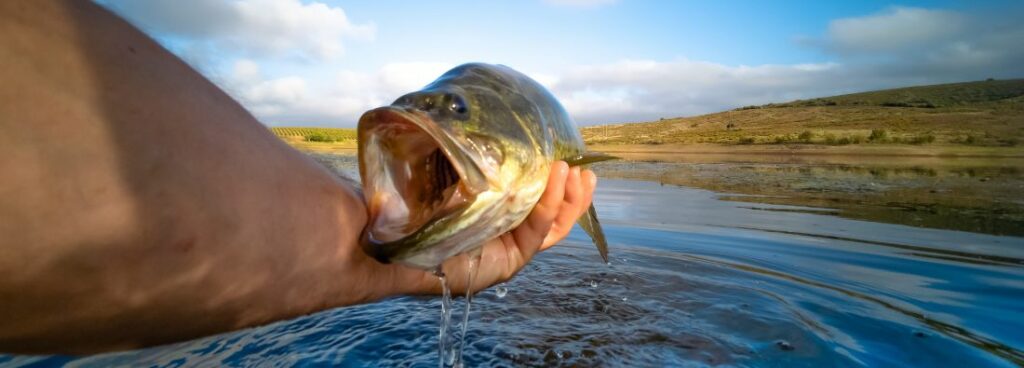 The benefits of bass fishing