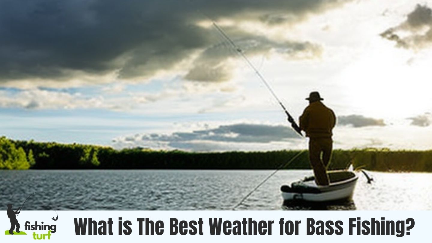 What is The Best Weather for Bass Fishing? Weather Guide!