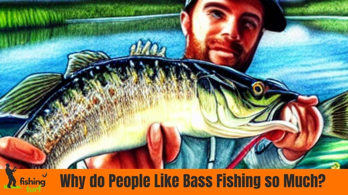 Why do People Like Bass Fishing so Much? What's the Catch!?