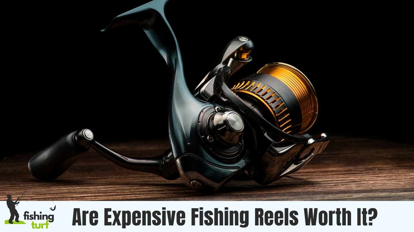 Unleash the Truth: Are Expensive Fishing Reels Worth It?