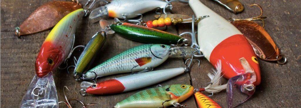 Choosing the Right Lure