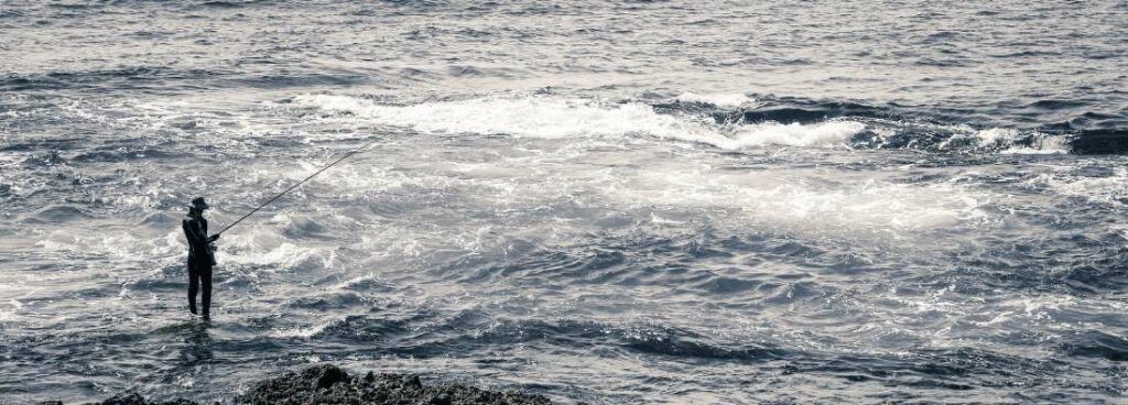 Detecting Fish in the Surf