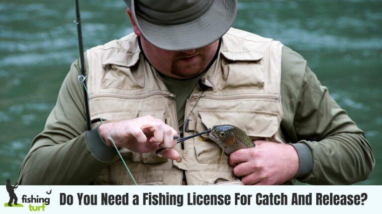 Do You Need a Fishing License For Catch And Release?