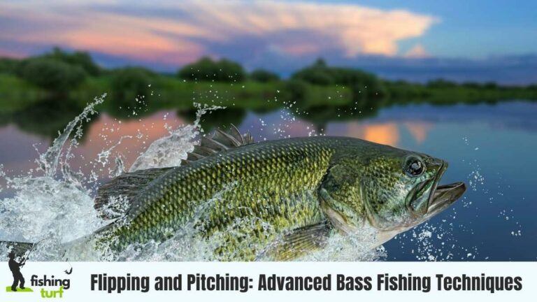 Flipping and Pitching Bass Fishing