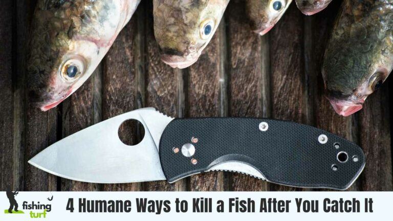 How to Kill a Fish After You Catch It