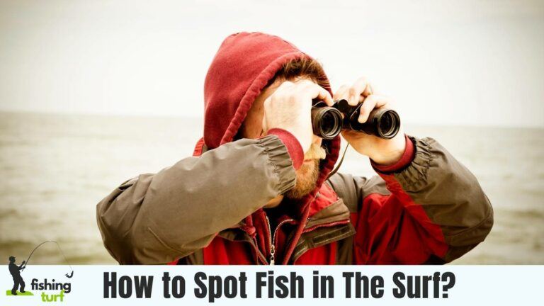 How to Spot Fish in The Surf