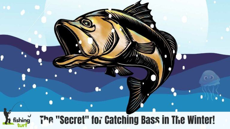 The secret for catching bass in the Winter