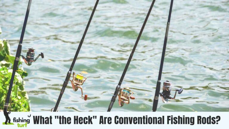 What Are Conventional Fishing Rods