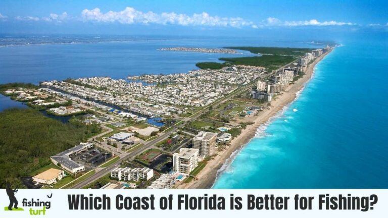 Which Coast of Florida is Better for Fishing