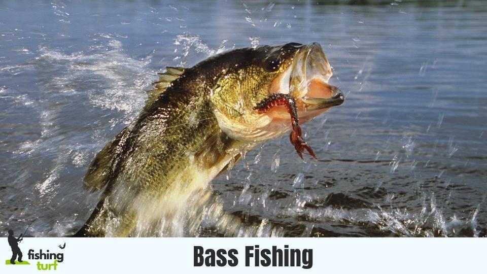 bass fishing around.the world