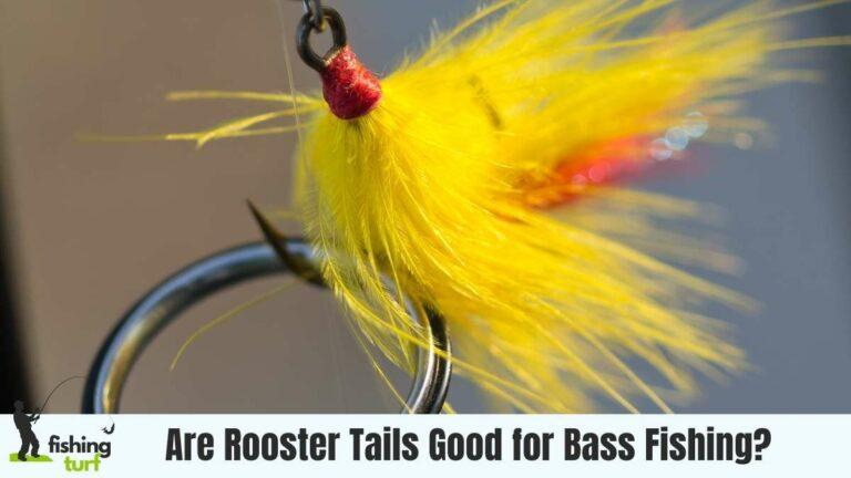 Are Rooster Tails Good for Bass Fishing