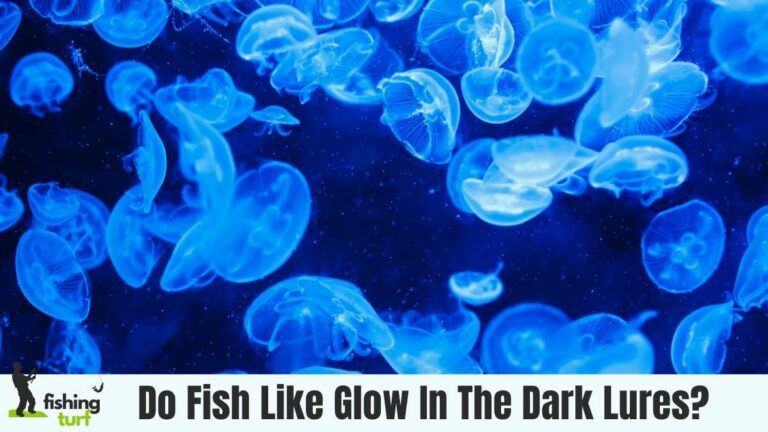 Do Fish Like Glow In The Dark Lures