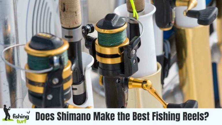 Does Shimano Make the Best Fishing Reels