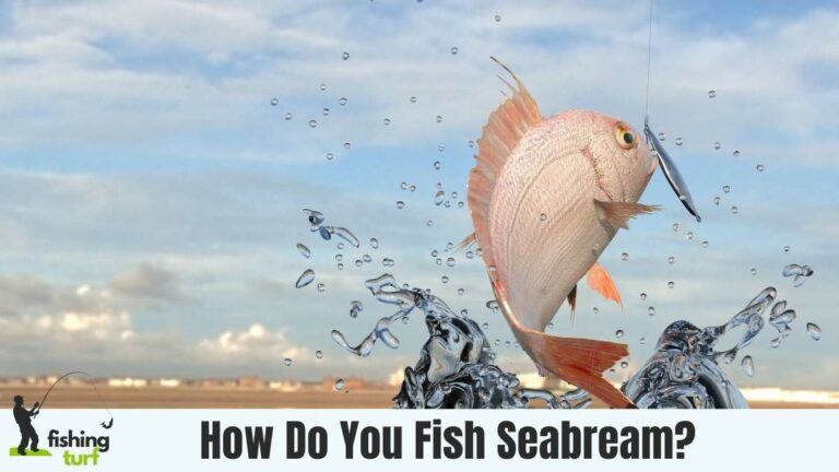 How Do You Fish Seabream