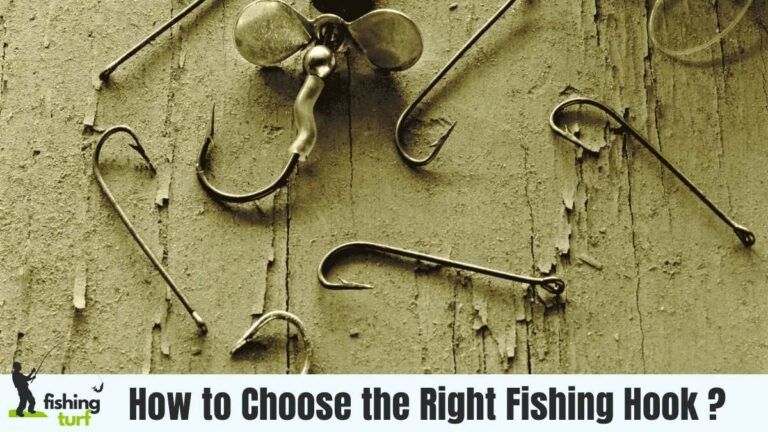 How to Choose the Right Fishing Hook