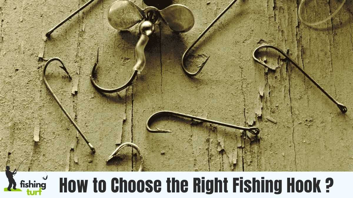 How to Choose the Right Fishing Hook [ Secrets Unlocked ]
