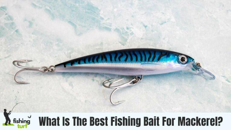 What Is The Best Fishing Bait For Mackerel