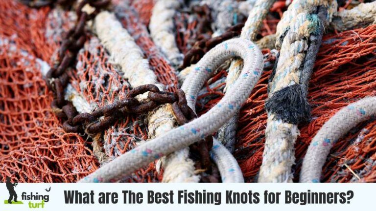 What are The Best Fishing Knots for Beginners