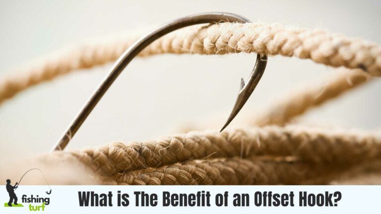 What is The Benefit of an Offset Hook?