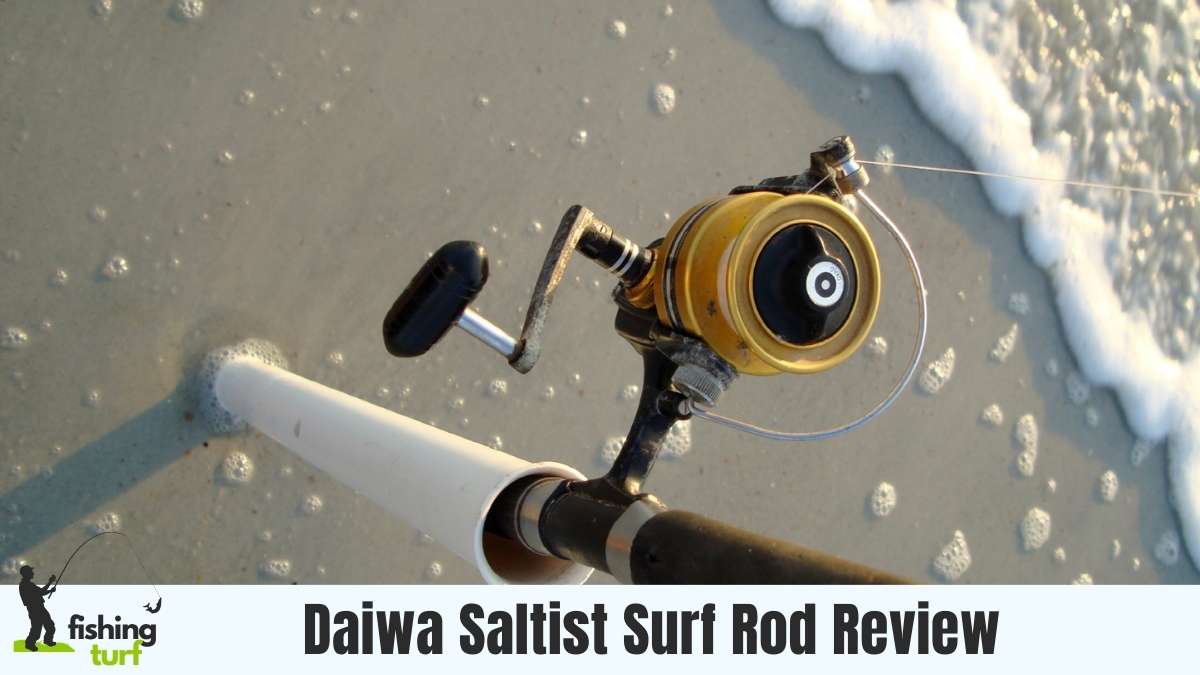 Daiwa Saltist Surf Rod Review: Unrivaled Sea Angling Weapon