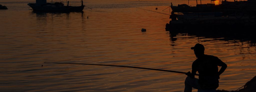 Evening Fishing