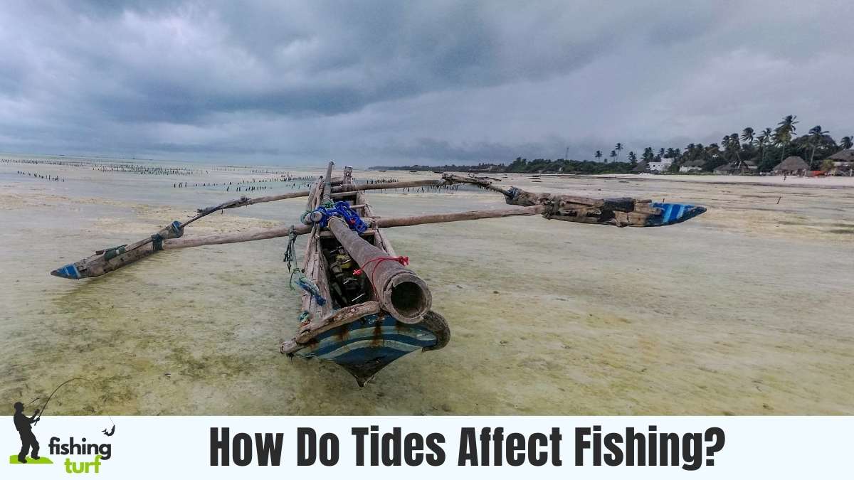 how-do-tides-affect-fishing-the-dynamics-for-anglers-101