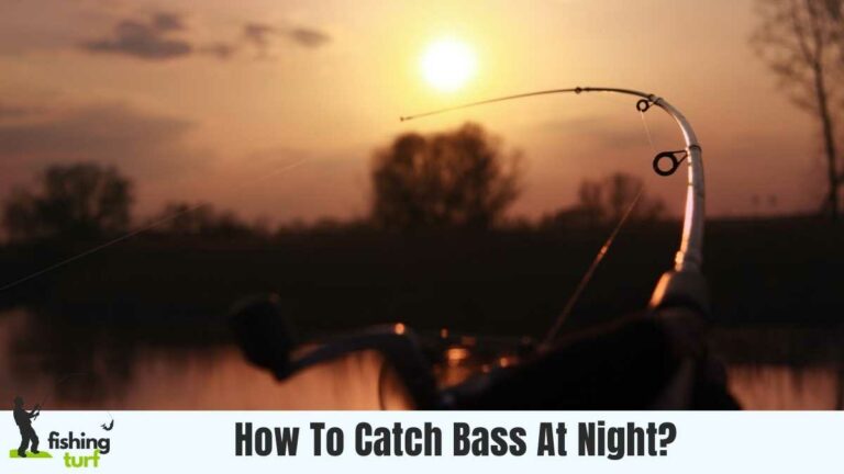 How To Catch Bass At Night