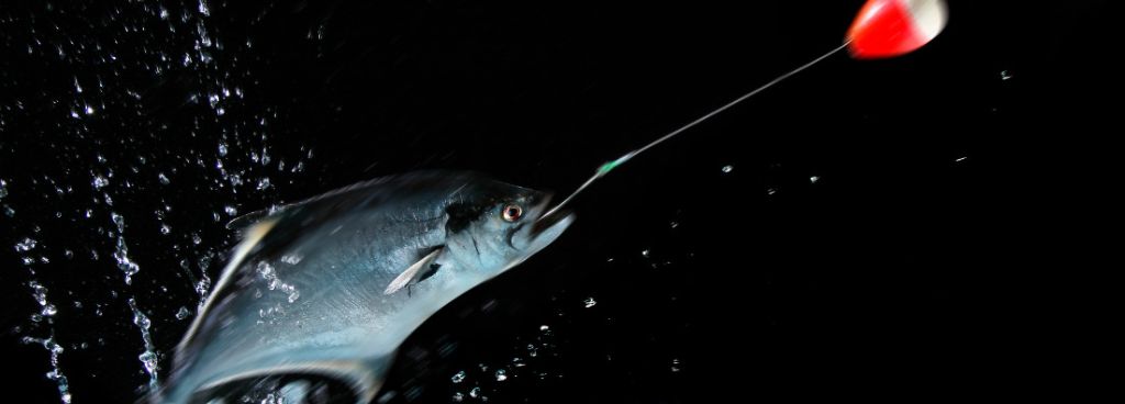 Techniques and Strategies for Night Bass Fishing