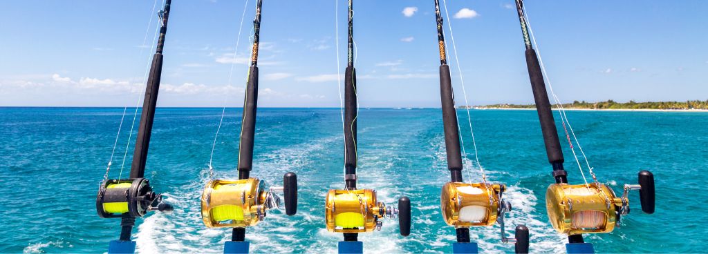 Advantages And Disadvantages Of Telescopic Fishing Rods