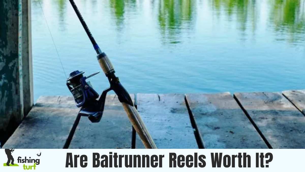 Are Baitrunner Reels Worth It