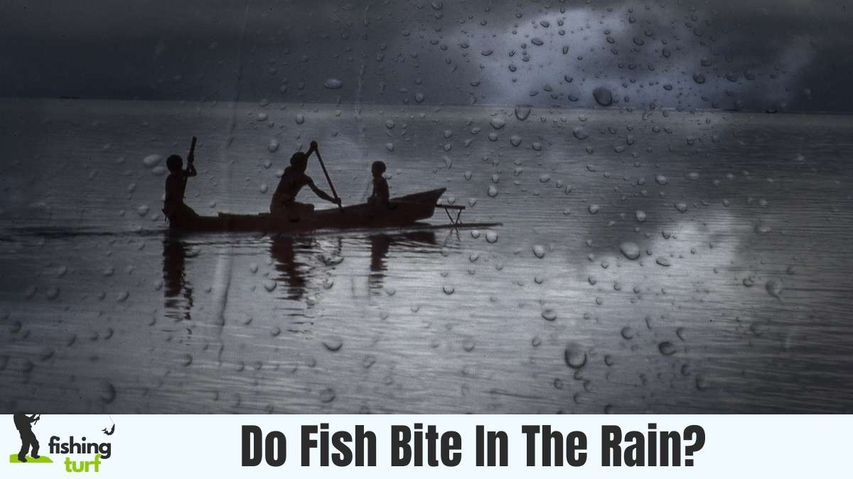 Do Fish Bite In The Rain