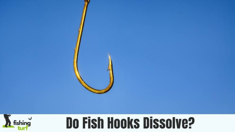 Do Fish Hooks Dissolve