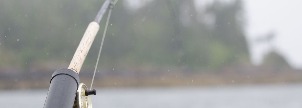 Factors that Encourage Fish Biting in Rainy Weather