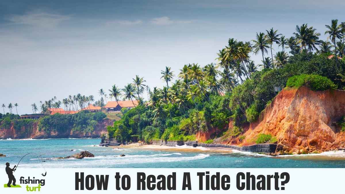 How to Read A Tide Chart