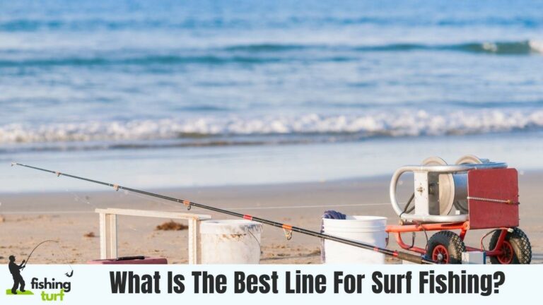 What Is The Best Line For Surf Fishing