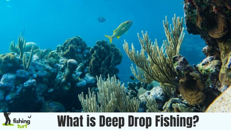 What is Deep Drop Fishing