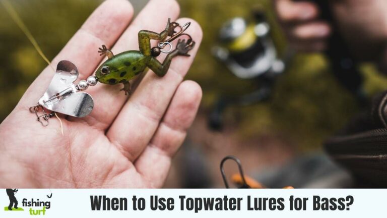 When to Use Topwater Lures for Bass