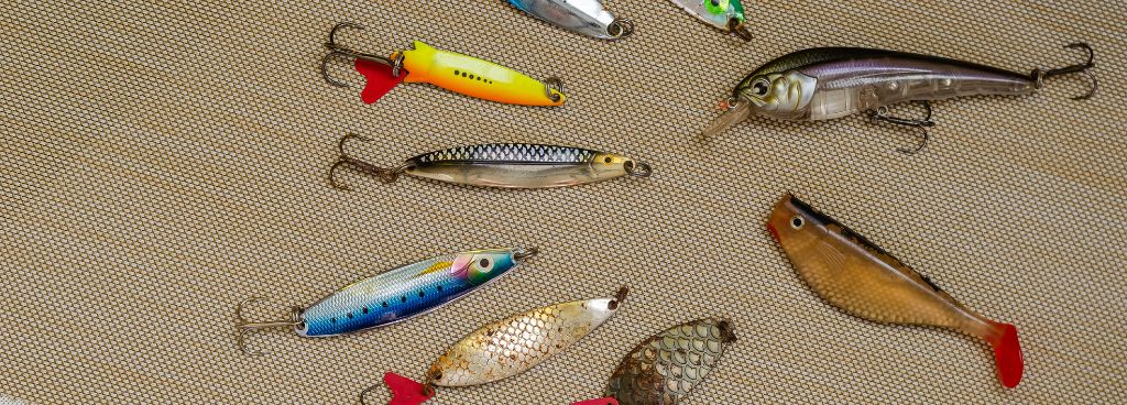 When to Use Topwater Lures for Bass tips