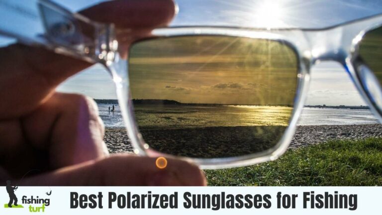 Best Polarized Sunglasses for Fishing