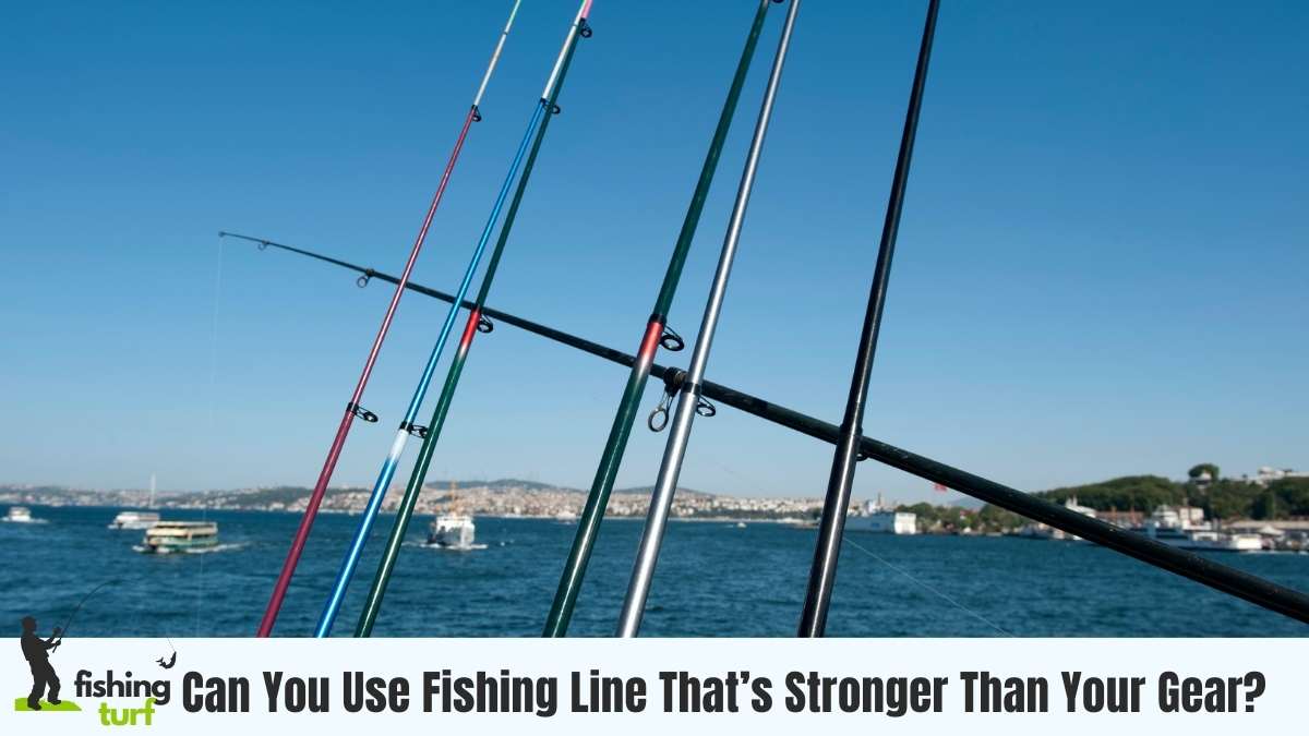 Can You Use Fishing Line That’s Stronger Than Your Gear?