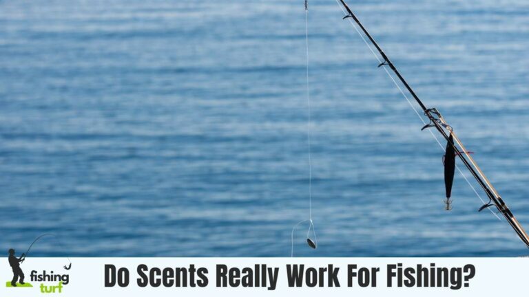 Do Scents Really Work For Fishing