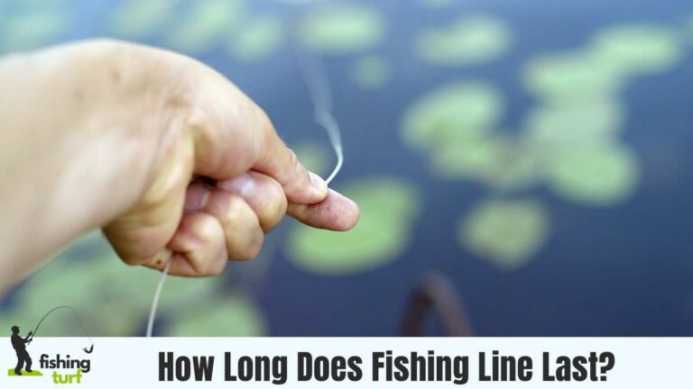 How Long Does Fishing Line Last