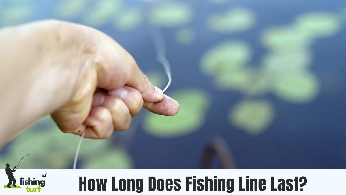 How Long Does Fishing Line Last? Lifespan and Durability